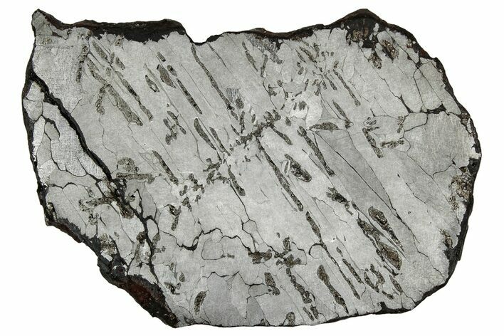 Etched Canyon Diablo Meteorite Slice ( g) - Arizona #356076